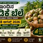 ಇಂದಿನ ಅಡಿಕೆ ಬೆಲೆ