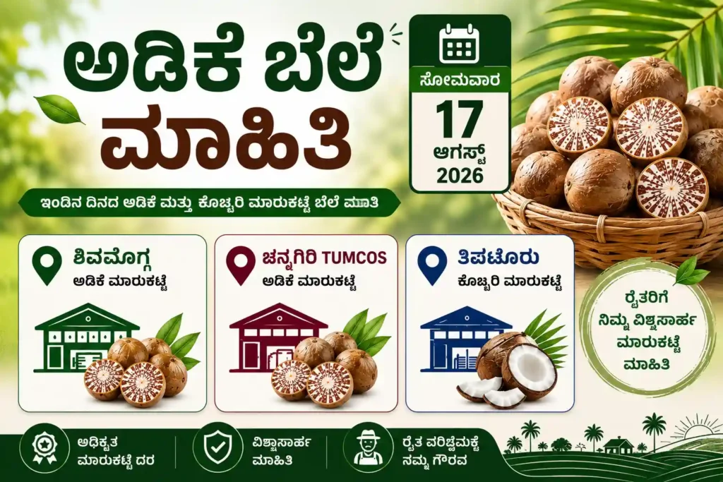 Arecanut Price Today 17 August 2026 Shivamogga Channagiri Tiptur Karnataka Market