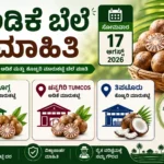 Arecanut Price Today 17 August 2026 Shivamogga Channagiri Tiptur Karnataka Market