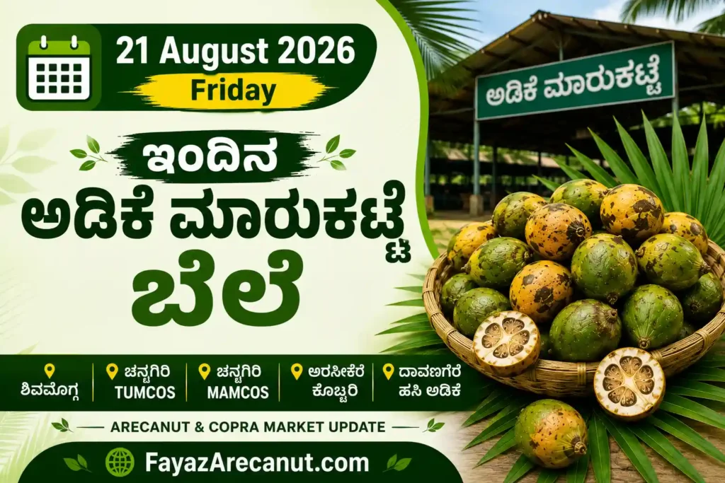 Arecanut Price Today 21 August 2026