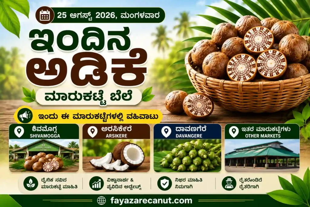 Arecanut Price Today 25 August 2026 Shivamogga Arsikere Davangere Karnataka Market
