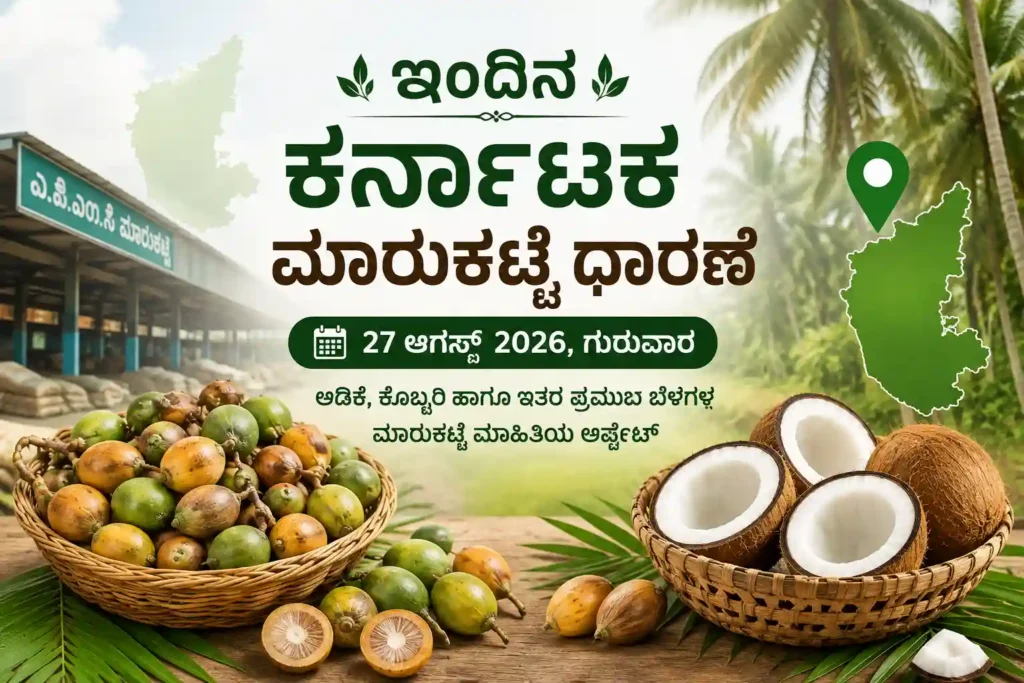Karnataka Market Price Today