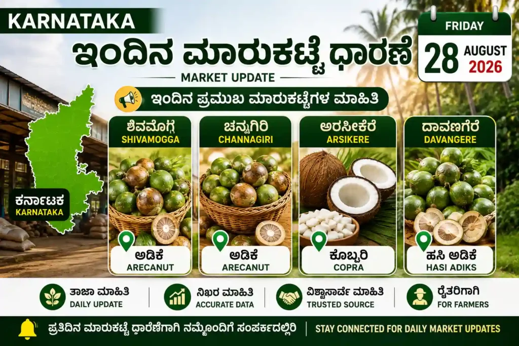 Karnataka Market Price Today 28 August 2026 | Shivamogga, Channagiri, Arsikere, Davangere 1 Karnataka Market Price Today 28 August 2026 Shivamogga Channagiri Arsikere Davangere Market Updates