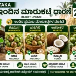 Karnataka Market Price Today 28 August 2026 | Shivamogga, Channagiri, Arsikere, Davangere Karnataka Market Price Today 28 August 2026 Shivamogga Channagiri Arsikere Davangere Market Updates