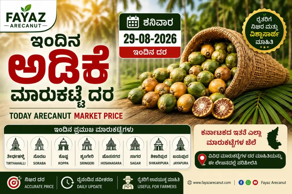 Today Arecanut Price – 29 August 2026 Karnataka
