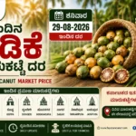 Today Arecanut Price – 29 August 2026 Karnataka