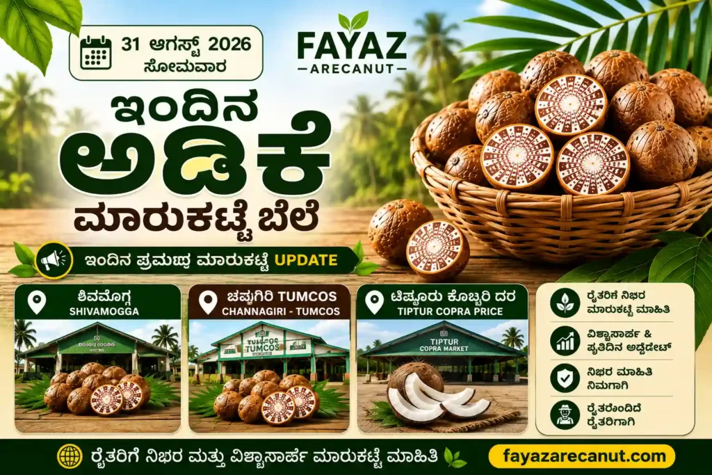 Arecanut Price Today 31 August 2026 | Shivamogga, Channagiri TUMCOS & Tiptur Copra 1 arecanut price today 31 august 2026 shivamogga kar