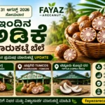 arecanut-price-today-31-august-2026-shivamogga-kar