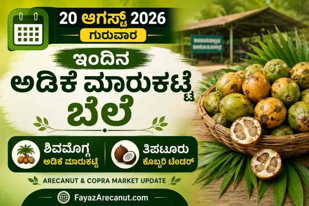 Arecanut Price Today 20 August 2026 | Shivamogga Adike Market 1 Shivamogga Arecanut Market Price Today 20 August 2026