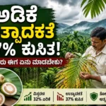 ಅಡಿಕೆ ಉತ್ಪಾದಕತೆ 37% ಕುಸಿತ!