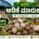 ಇಂದಿನ ಅಡಿಕೆ ಮಾರುಕಟ್ಟೆ ದರ | ಶಿವಮೊಗ್ಗ ಅಡಿಕೆ ಬೆಲೆ ಮತ್ತು ತಿಪಟೂರು ಕೊಬ್ಬರಿ ಟೆಂಡರ್ ಶಿವಮೊಗ್ಗ ಅಡಿಕೆ ಮಾರುಕಟ್ಟೆ ದರ ಮತ್ತು ತಿಪಟೂರು ಕೊಬ್ಬರಿ ಟೆಂಡರ್
