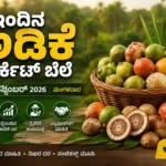 Arecanut Market Price Today 1 September 2026