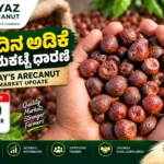 Arecanut Market Today 10 September 2026