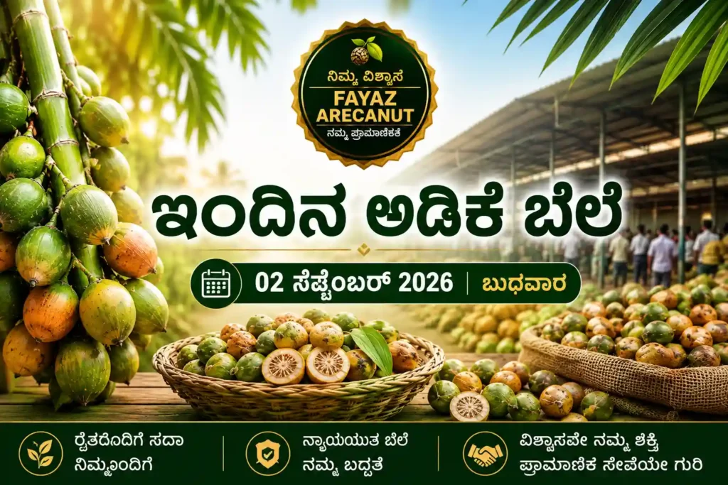 Arecanut Price Today 2 September 2026 Shivamogga Channagiri