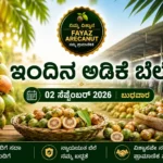 Arecanut Price Today 2 September 2026 | Channagiri & Shivamogga Arecanut Price Today 2 September 2026 Shivamogga Channagiri