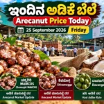 ಇಂದಿನ ಅಡಿಕೆ ಬೆಲೆ Arecanut Price Today – Channagiri TUMCOS, MAMCOS, Shivamogga, Davangere and Arsikere Copra market update