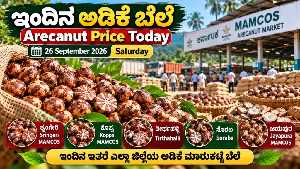 Arecanut price today in Karnataka on 26 September 2026, including Sringeri, Koppa, Tirthahalli, Soraba and Jayapura market rates