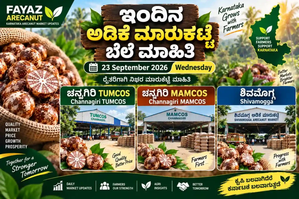 Channagiri TUMCOS, Channagiri MAMCOS and Shivamogga arecanut market price update for 23 September 2026