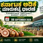 Today's Karnataka Adike Market Rate 8 September 2026 | Shivamogga Price Update Today's Karnataka Adike Market Rate 8 September 2026