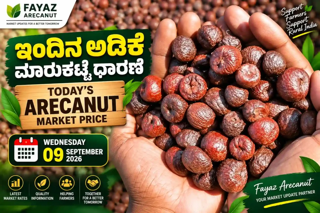 Karnataka Adike Market Today 9 September 2026 | Shivamogga & Channagiri Rates 1 Karnataka Adike Market Today 9 September 2026
