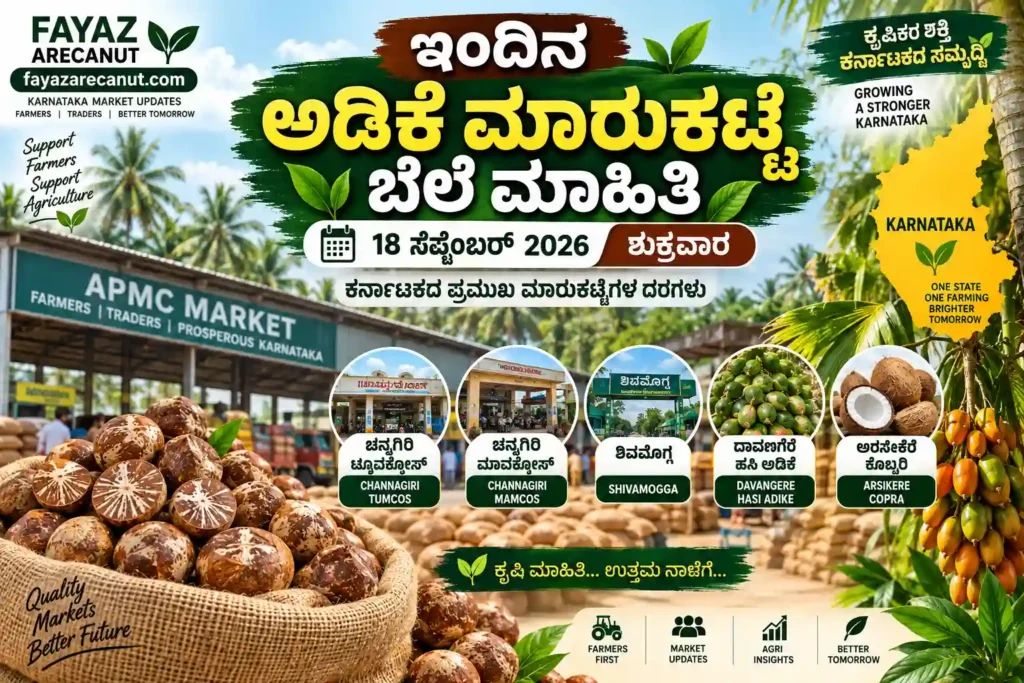 Shivamogga Arecanut Market Price Today 18 September 2026 | Channagiri Adike Rate 1 Shivamogga Arecanut Market Price Today