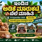 Karnataka Arecanut Market Price Today 19 September 2026 | Tirthahalli Koppa Sringeri Karnataka arecanut market update featuring Tirthahalli, Koppa MAMCOS, Sringeri MAMCOS and Jayapura markets.