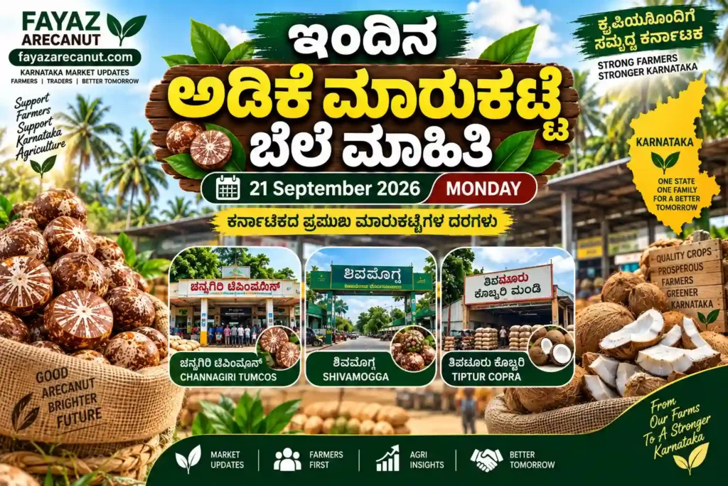 Karnataka Arecanut Market Price Today 21 September 2026 | Shivamogga Channagiri 1 Karnataka arecanut market update featuring Channagiri TUMCOS, Shivamogga APMC and Tiptur Copra market.