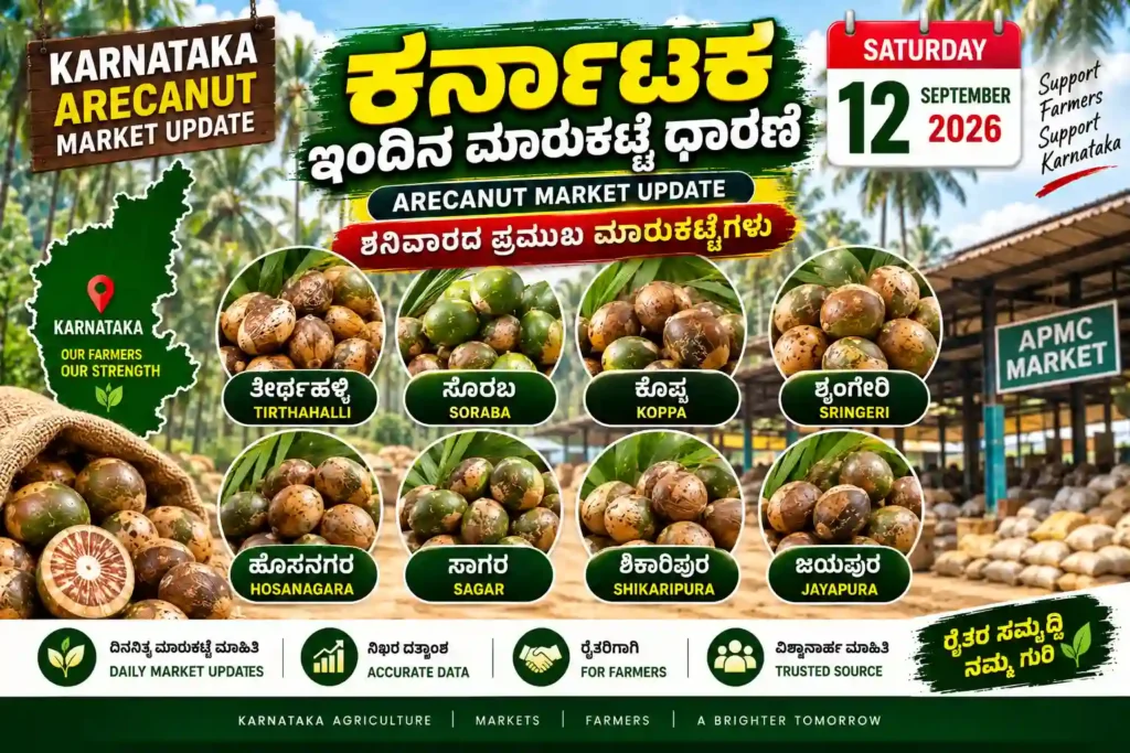 karnataka arecanut market price today 12 september