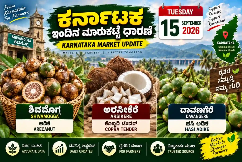 Karnataka Market Price Today 15 September 2026 | Shivamogga Arecanut, Arsikere Copra Rate 1 Karnataka Market Price Today 15 September 2026 – Shivamogga Arecanut Arsikere Copra Davangere Hasi Adike