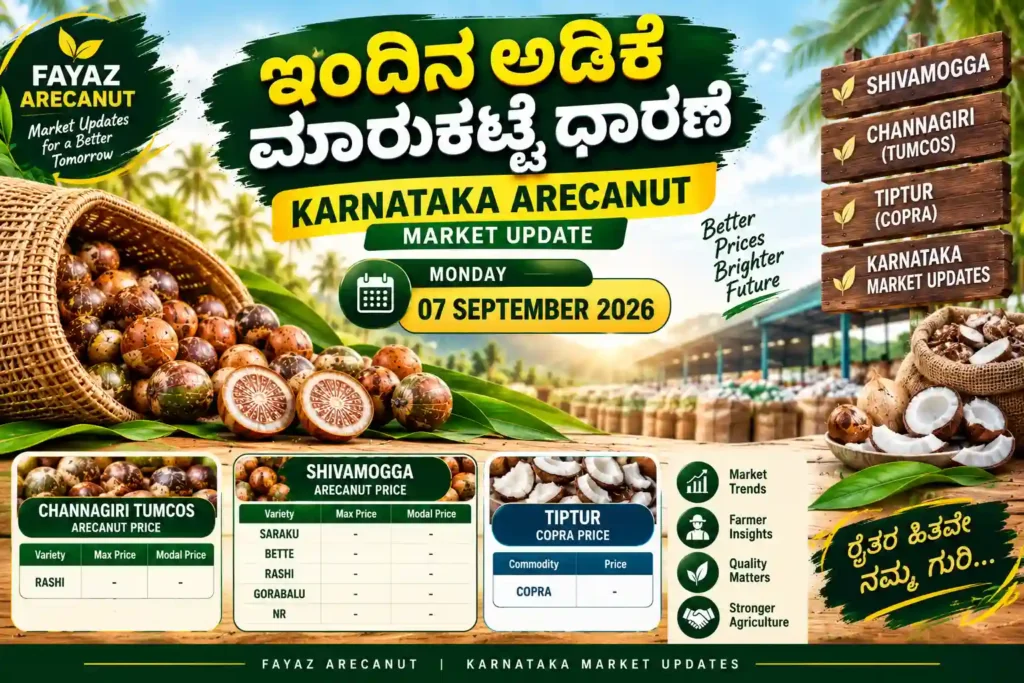 Shivamogga Arecanut Price Today 7 September 2026