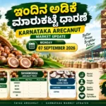 Shivamogga Arecanut Price Today 7 September 2026