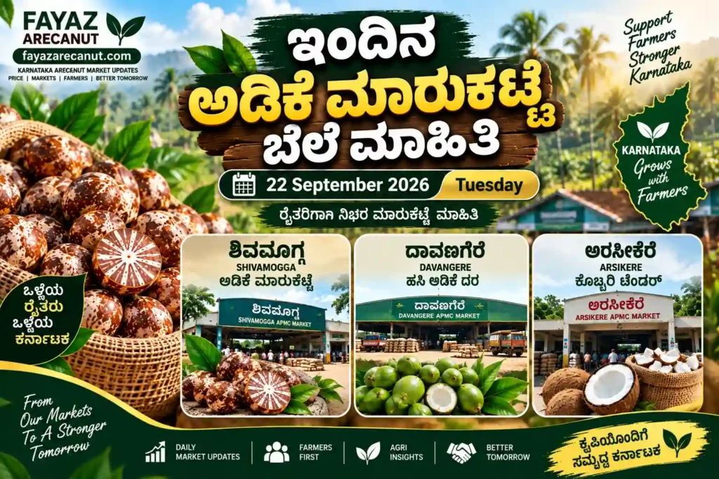 Karnataka arecanut market update featuring Shivamogga Adike Rate, Davangere Hasi Adike Rate and Arsikere Copra market