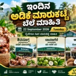 Karnataka arecanut market update featuring Shivamogga Adike Rate, Davangere Hasi Adike Rate and Arsikere Copra market