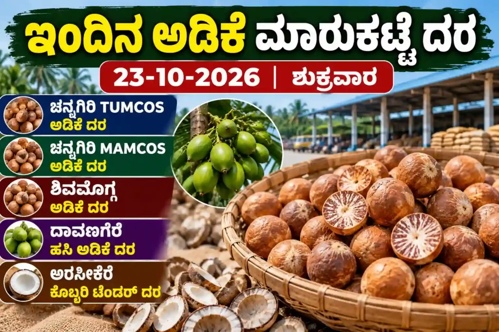 Karnataka arecanut market prices for Shivamogga and Channagiri on 23 October 2026