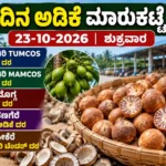 Karnataka arecanut market prices for Shivamogga and Channagiri on 23 October 2026
