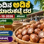 Arecanut market prices in Sringeri, Koppa, Hosanagara and Tirthahalli on 24 October 2026