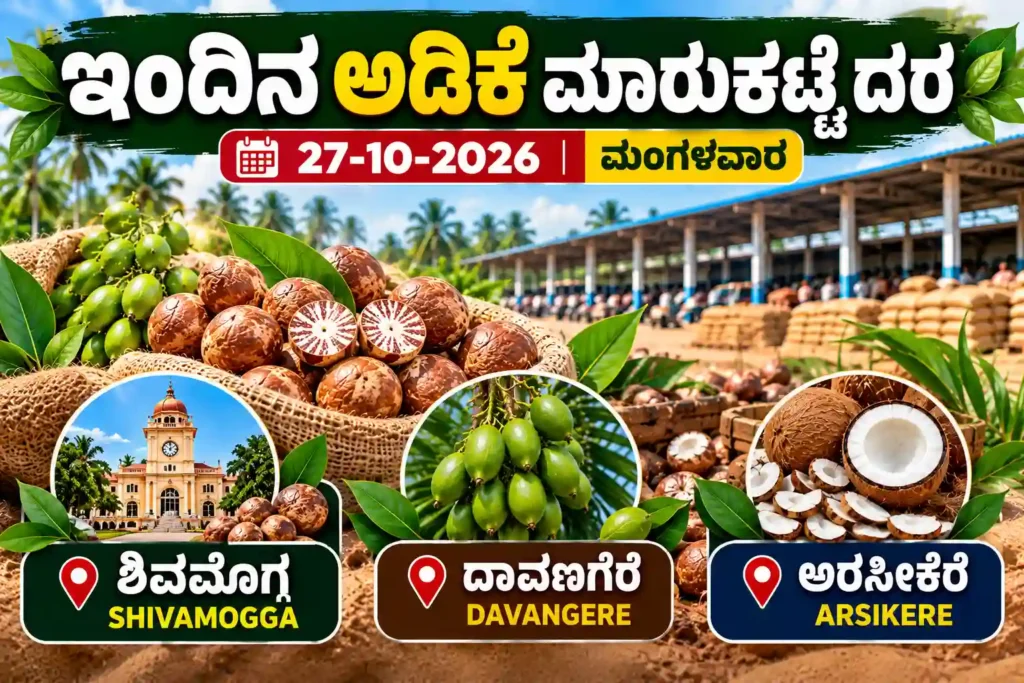 Text: Shivamogga arecanut market prices, Davangere Hasi Adike and Arsikere Copra Tender rates on 27 October 2026