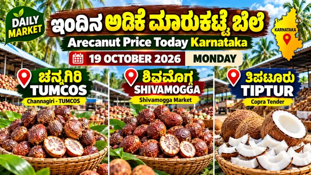 ಇಂದಿನ ಅಡಿಕೆ ಮಾರುಕಟ್ಟೆ ಬೆಲೆ – ಚನ್ನಗಿರಿ TUMCOS, ಶಿವಮೊಗ್ಗ ಅಡಿಕೆ ಮಾರುಕಟ್ಟೆ ಮತ್ತು ತಿಪಟೂರು ಕೊಬ್ಬರಿ ಟೆಂಡರ್, 19 ಅಕ್ಟೋಬರ್ 2026.