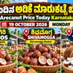 ಇಂದಿನ ಅಡಿಕೆ ಮಾರುಕಟ್ಟೆ ಬೆಲೆ – ಚನ್ನಗಿರಿ TUMCOS, ಶಿವಮೊಗ್ಗ ಅಡಿಕೆ ಮಾರುಕಟ್ಟೆ ಮತ್ತು ತಿಪಟೂರು ಕೊಬ್ಬರಿ ಟೆಂಡರ್, 19 ಅಕ್ಟೋಬರ್ 2026.