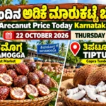 Arecanut Price Today Karnataka | 22 October 2026