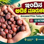 Arecanut Price Today Karnataka 12 October 2026 with dried arecanuts, Channagiri TUMCOS, Shivamogga market and Tiptur Copra