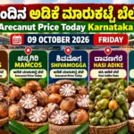 Arecanut Price Today Karnataka 09 October 2026 featuring Channagiri TUMCOS, MAMCOS, Shivamogga and Davangere Hasi Adike markets