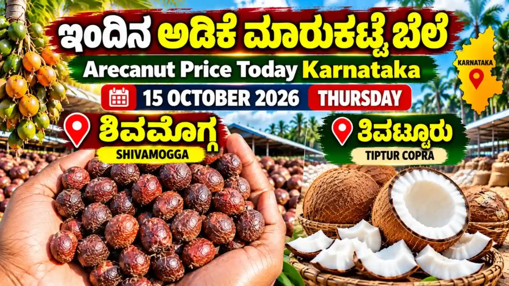 Arecanut Price Today Karnataka 15 October 2026 featuring Shivamogga arecanut market and Tiptur copra