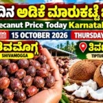 Arecanut Price Today Karnataka 15 October 2026 featuring Shivamogga arecanut market and Tiptur copra