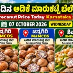 Channagiri and Shivamogga Arecanut Price Today Karnataka 07 October 2026