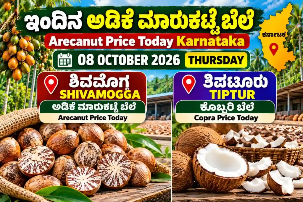 Shivamogga Arecanut and Tiptur Copra Price Today Karnataka 08 October 2026